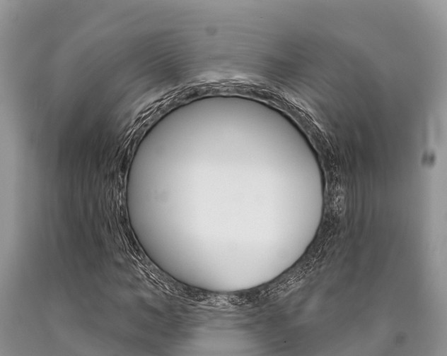 X0000090770966200707201111