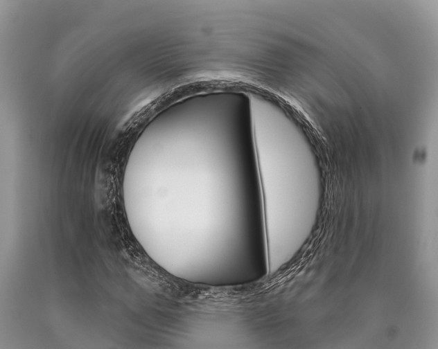 X0000090770967200707201111