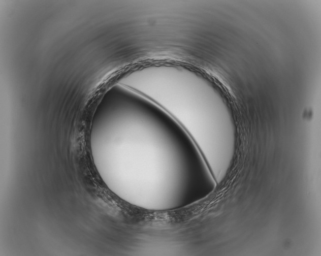 X0000090770968200707201111