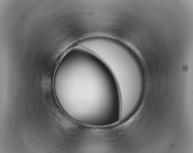X0000090770969200707201111