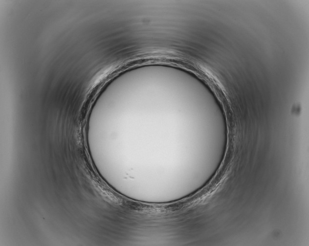 X0000090770970200707201111