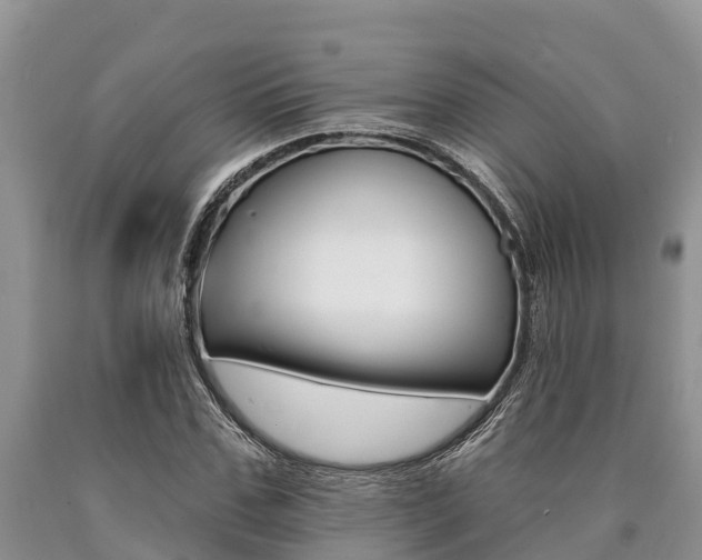 X0000090770971200707201111
