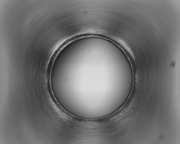 X0000090770972200707201111