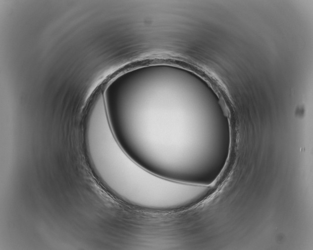 X0000090770973200707201111