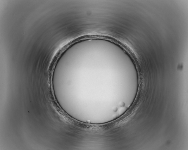 X0000090770974200707201111