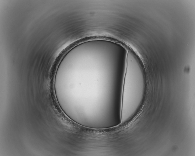 X0000090770975200707201111