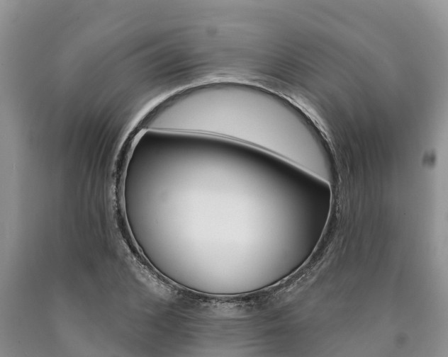 X0000090770976200707201111
