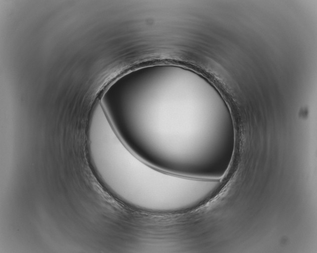 X0000090770977200707201111