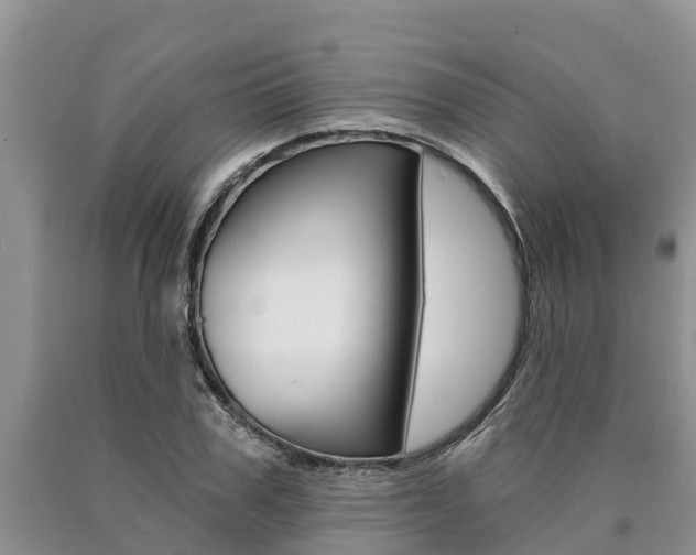 X0000090770979200707201111