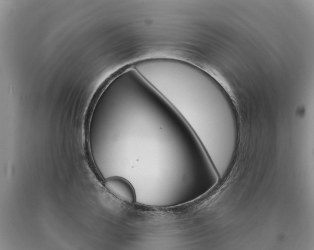 X0000090770980200707201111