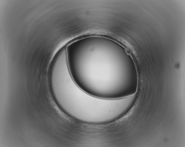 X0000090770981200707201111