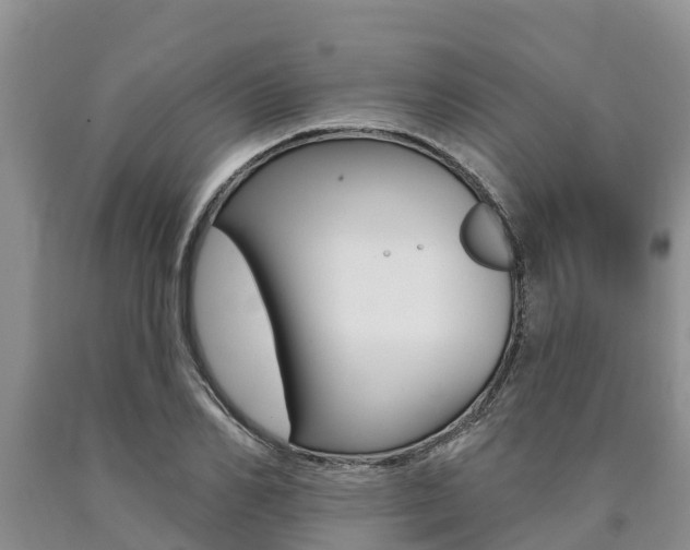 X0000090770982200707201111