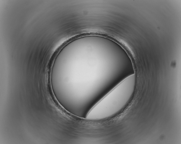 X0000090770983200707201111