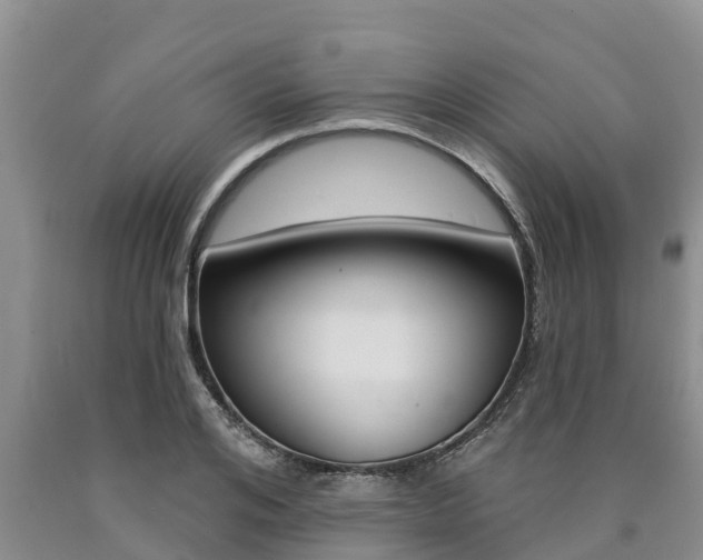 X0000090770984200707201111