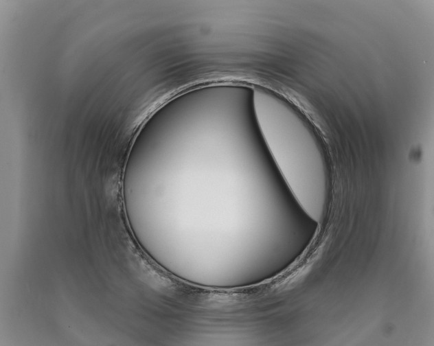 X0000090770985200707201111