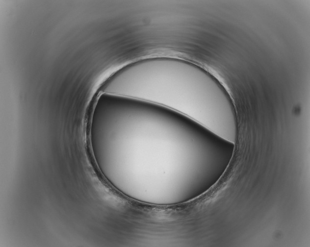 X0000090770987200707201111