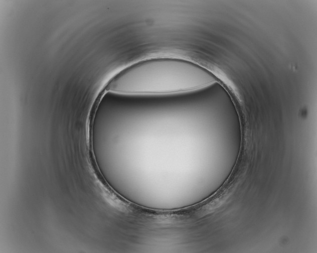 X0000090770988200707201111