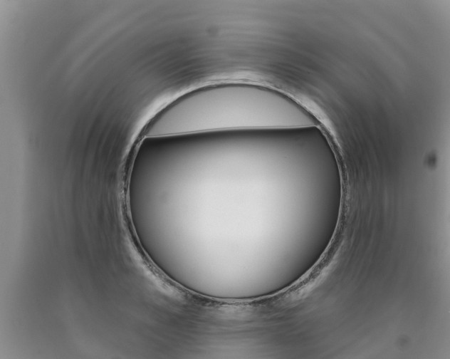 X0000090770989200707201111