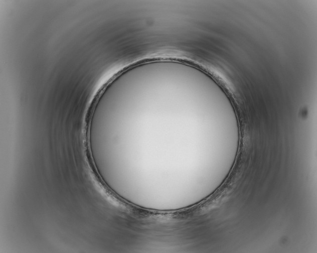 X0000090770990200707201110