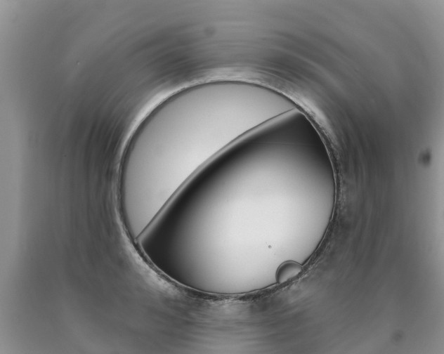 X0000090770992200707201110