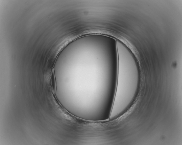 X0000090770993200707201110