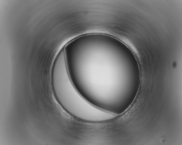 X0000090770996200707201110