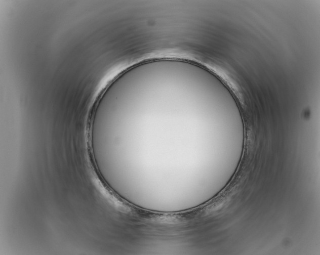 X0000090770998200707201110