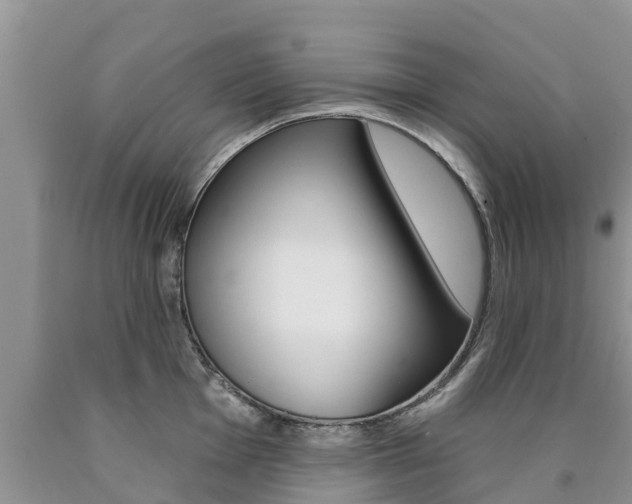 X0000090771001200707201110