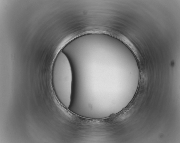 X0000090771002200707201110