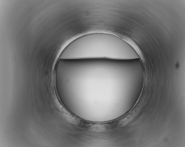 X0000090771004200707201110