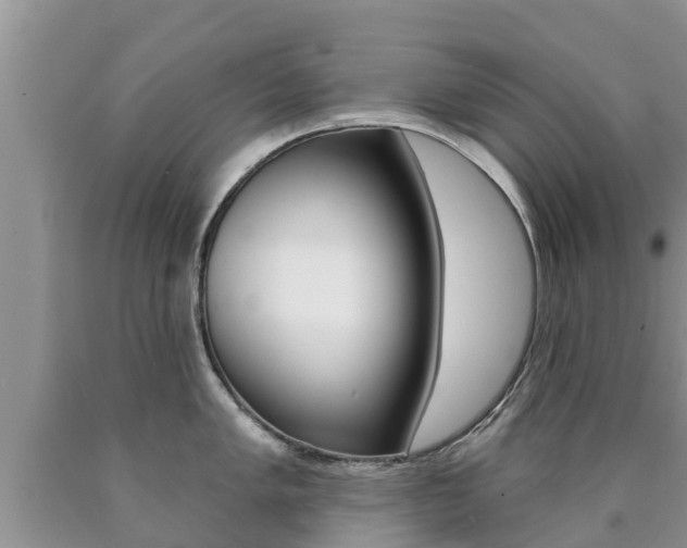 X0000090771005200707201110