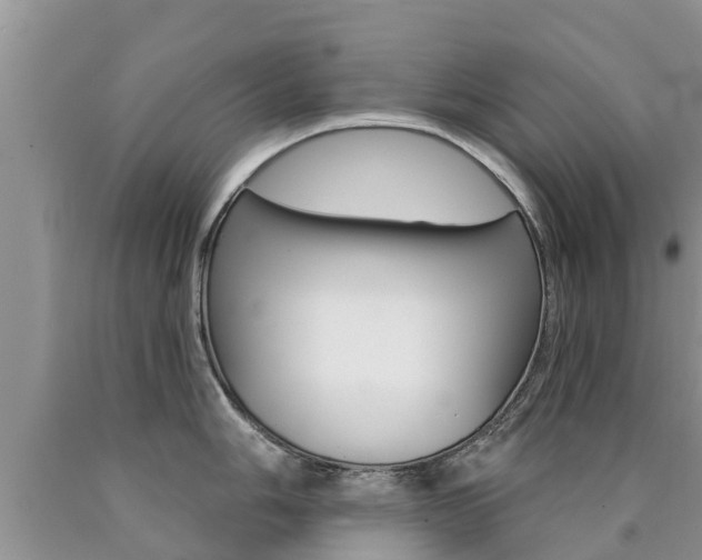X0000090771006200707201110