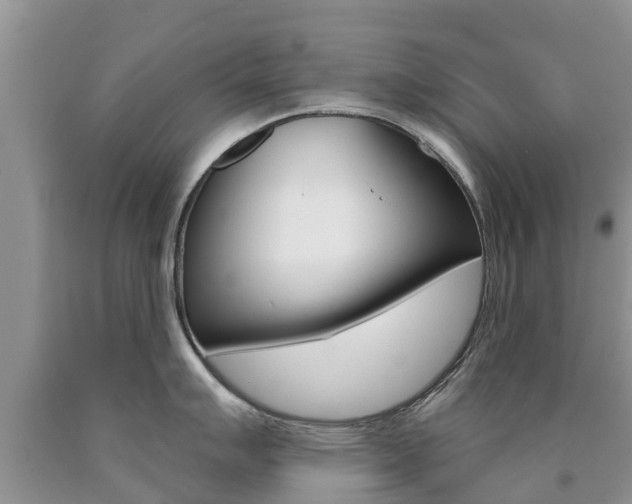 X0000090771007200707201110