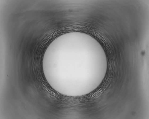 X0000090771010200707201109