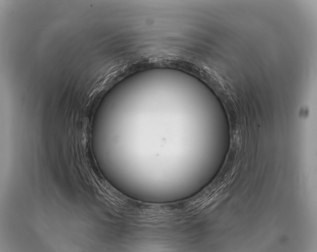 X0000090771012200707201110