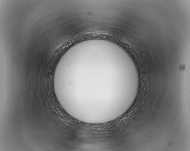 X0000090771014200707201110