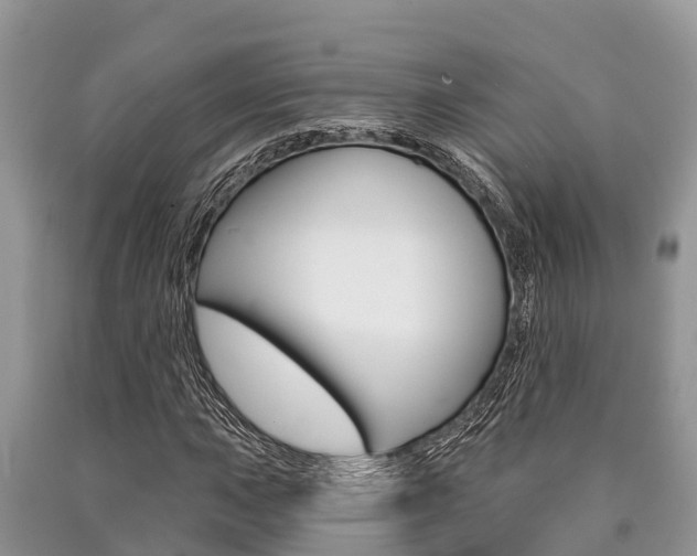 X0000090771015200707201110