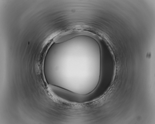 X0000090771018200707201110