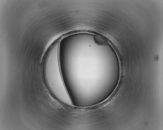 X0000090771022200707201110