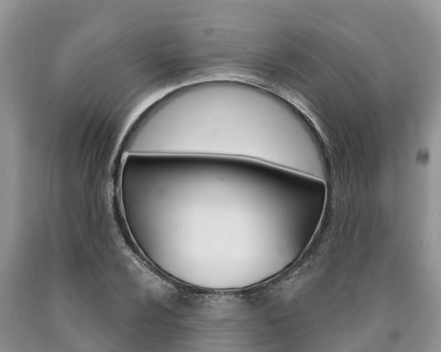 X0000090771024200707201110