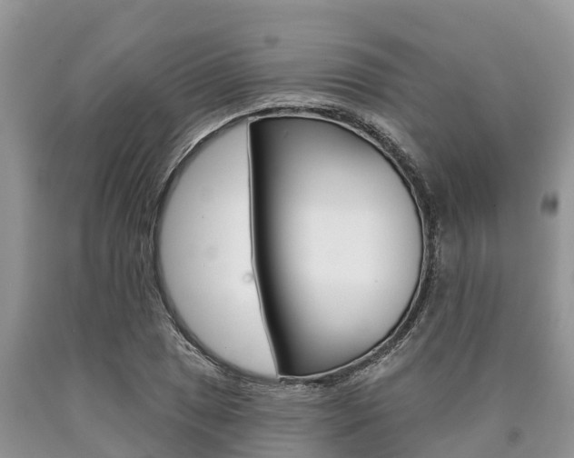 X0000090771025200707201110