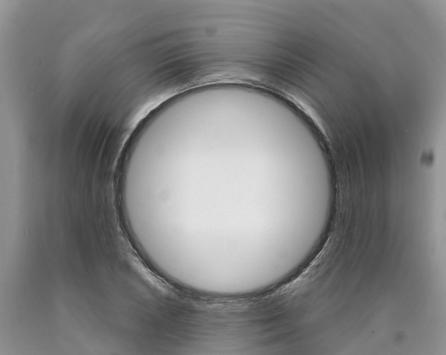 X0000090771026200707201110