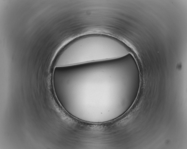 X0000090771029200707201110