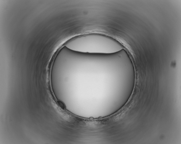 X0000090771031200707201110