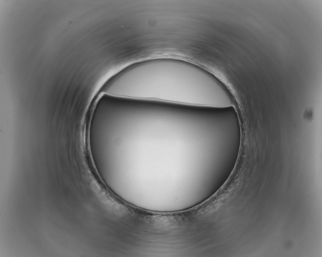 X0000090771032200707201110