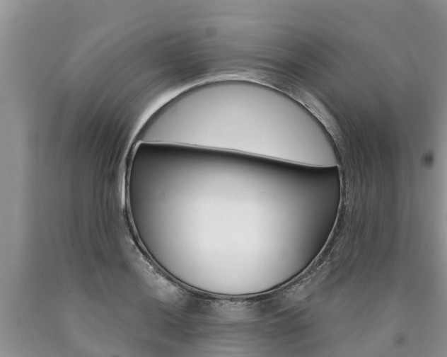 X0000090771036200707201110