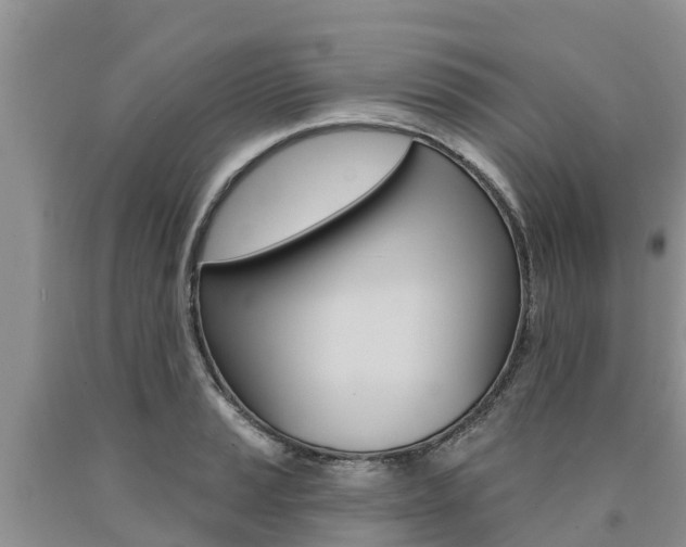 X0000090771037200707201110