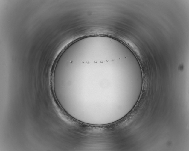 X0000090771039200707201110