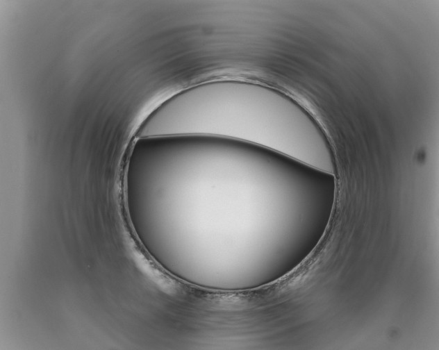 X0000090771042200707201110