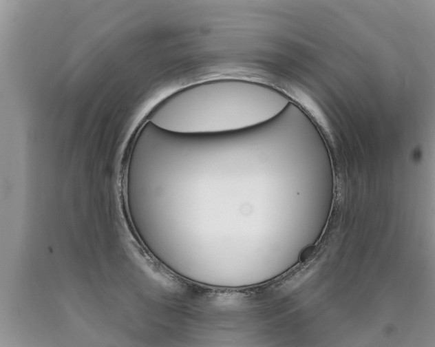 X0000090771043200707201110